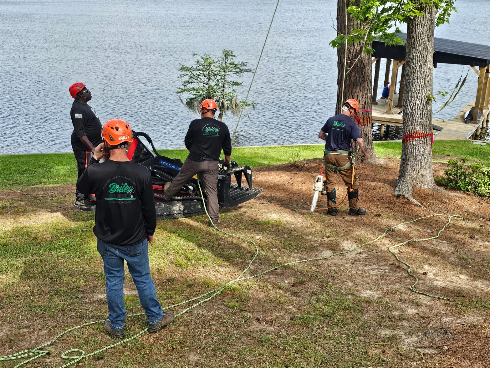 Tree Removal & Trimming in Shreveport, LA - Free Estimates