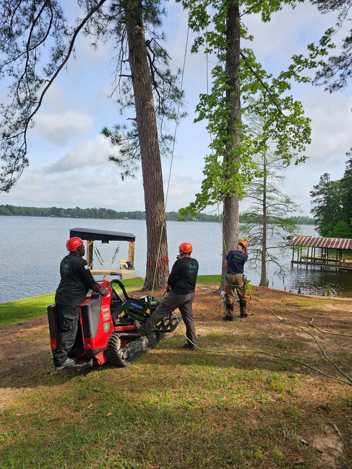 English Reeve Tree Work Tree Removal & Trimming in Shreveport, LA - Free Estimates